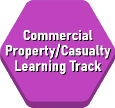 commercial-propertycasualty-learning-track